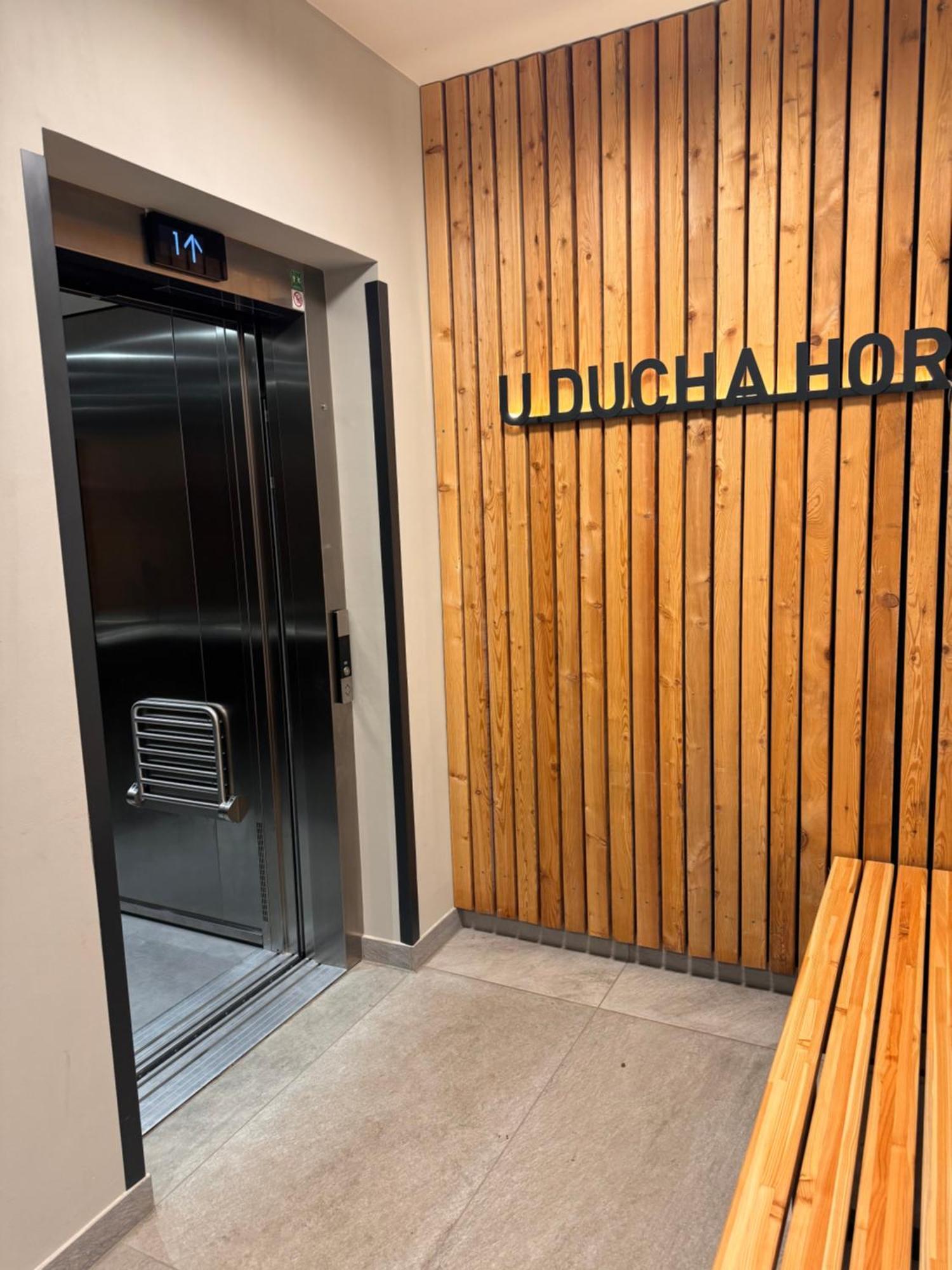 Luxusni Apartman Grand V Centru Harrachova Se Soukromou Mega Terasou, S Privatnim Parkovanim Zdarma, S Moznosti Dobijeni Wallbox Ev A Vyhledem Na Harrachovsky Kostelicek Exteriör bild